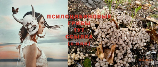 гашиш Надым