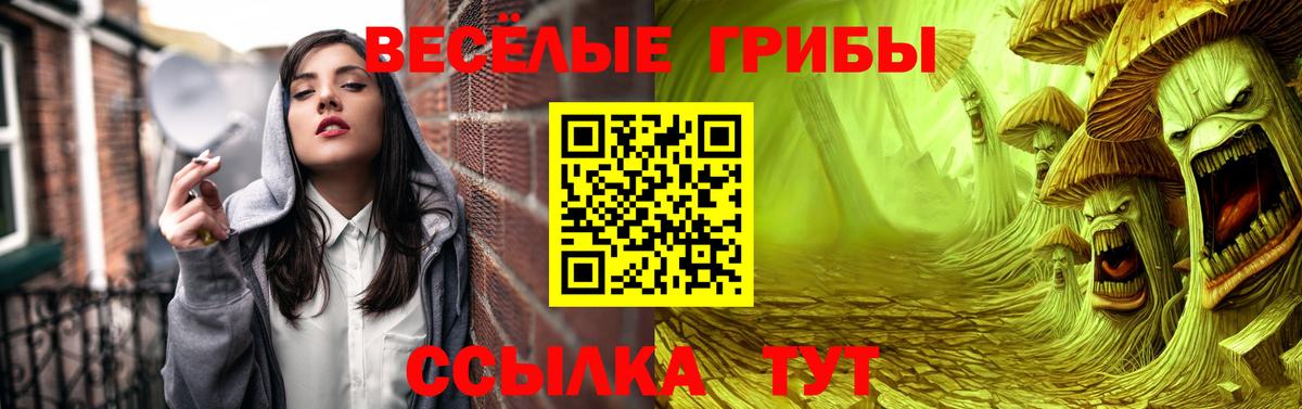 хочу   Вход с VPN  Менделеевск  Псилоцибиновые грибы мицелий 